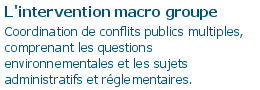 L'intervention macro groupe
